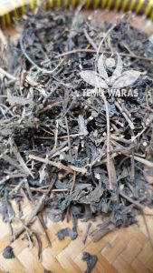 Kumis Kucing Kering 500gr Asli Hutan