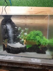 Thác cát 1 dòng cho bể cá kèm máy và cát