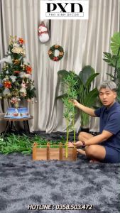 Chậu Cây Trúc - Cây Tre Giả 1m5 - 2m Cây Cảnh Decor Trang Trí Phòng Khách Phòng Ngủ Như Thật Cây trang trí phòng khách