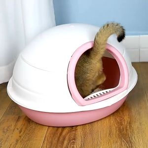 ห้องน้ำแมวขนาดใหญ่ แบบกรม ราคาถูก เปิดฝาได้ ฟรีที่ดัก