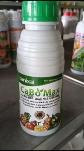 TANIXA Cabo Max chai 500ml Khắc tinh ruồi vàng