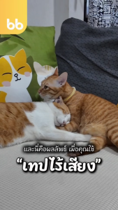 เทปไร้เสียง Happy Moon Moon🌞🌈(ยกแถว) 6 ม้วน 2 นิ้ว 45 หลา น้องแมว มูน มูน🐱 no noise tape เทปกาว