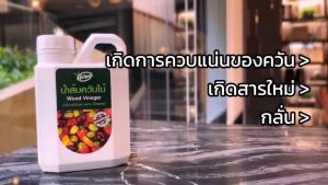 ANTIBUG ป้องกันแมลง ป้องกันศัตรูพืชทุกชนิด แพ็ค 3 แกลลอน