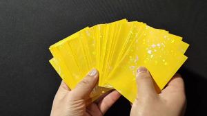 100pcs Star Laser Flashing Holographic Card Sleeves 66x91mm Fit for TCG Cards Kpop PhotocardExcellent Christmas Halloween Gifts