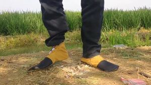 Sepatu Petani di sawah
