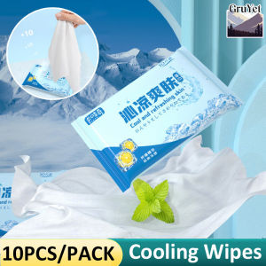 10PCS/Pack Portable Cooling Wipes Menthol Fresh Icy Cool Antiperspirant Cleansing Wipes