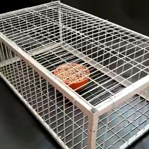 เพนียดดักนก กรงกับดักนกพิราบ กรกดักนกเขา กรงนกพิราบ ที่ดักนก กรงนกทางเดียว จับภาพต่อเนื่อง ทำความสะอาดง่าย