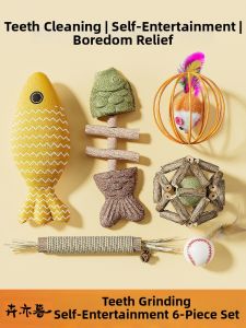 HUIYIMU | Entertainment & Teething Cat Toy