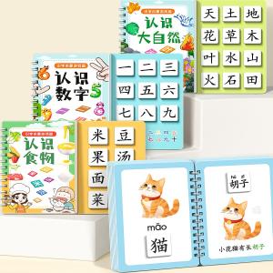 Preschool Childrens Literacy Book Early Education Quiet Full Set Baby Cognitive Cards Kindergarten Identification Book