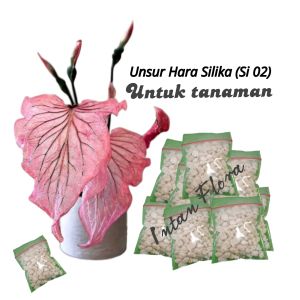 Unsur Silika (Si-02) untuk media tanam original kemasan super ekonomis intan flora