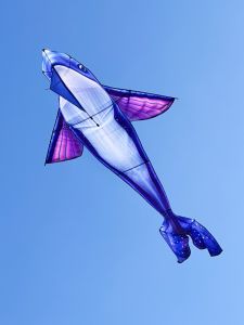 Large Size Kite Whale Fish Easy to Fly in Light Wind High End Carp Koi for Adults And Children Upgrade Polyester Thickened Kite Cloth