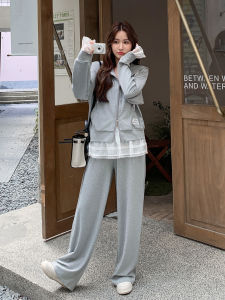 Gray Korean Style Casual Sporty Hoodie Set Womens Wide Leg Pants Two Piece Set Autumn New Fashion Womens Clothing