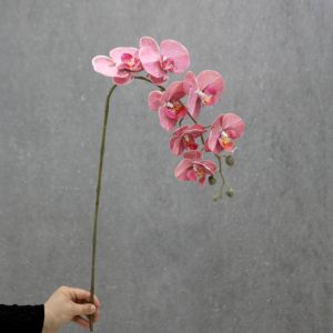 Đạo Cụ Chụp Ảnh Cưới Hoa Giả 3D Một Bông Hoa Cúc Bướm Nghệ Thuật Trang Trí Hoa Lục Bình Phong Cách Hiện Đại Trong Nhà