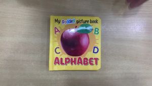 English Book / Alphabet / Numbers / Vegetables / Fruits / Animals / Birds / 100 Words / Colours / My Body / Transport / My Padded Picture Books For Kids Age 2 - 4 Years