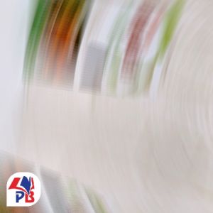 Buku SPM: Budidaya Kayu Jati