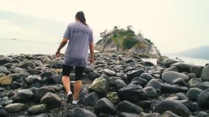 โปรตีนจากพืช 100% Free Shaker - PVL Plant-Pro High-Protein Plant-Based Natural Chocolate Flavor - 1