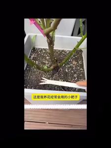 คราดน้อยสแตนเลส 20cm คราดพรวนดิน ที่สางราก อุปกรณ์ทำสวนย่อม Stainless Steel Rake