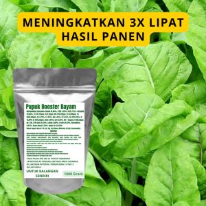Pupuk Booster Bayam Pelebat Organik Cepat Berbuah Lebat Besar Anti Rontok Pembesar Bayam