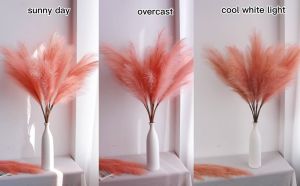 12 cabang (1 tas) Pampas buatan/dekorasi pernikahan dekorasi