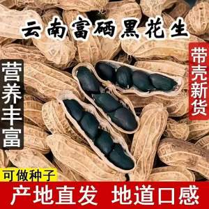 Shelled Dark and Purple Skinned Peanuts