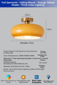 NSWR | Retro Glass Ceiling Light