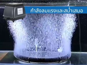 BONETAR ปั๊มลม HP-180 HP-300 ปั๊มลมตู้ปลา ปั้มตู้ปลา ปั๊มอากาศ ปั๊มออกซิเจนตู้ปลา เสียงเงียบ เหมาะสำหรับตู้ปลาและบ่อปลา