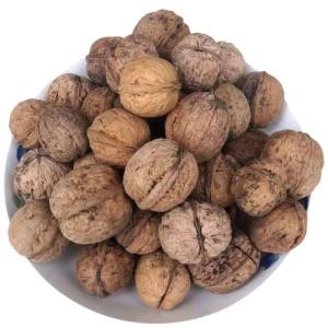 Hạt Óc Chó Rừng Cây Già Loại Vỏ Cứng Phơi Nắng 5jin