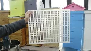 Queen Excluder Sekat Skat Kotak Lebah Tumpukan Atas Pecah Koloni Apis Bee