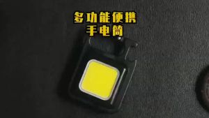 Multifunctional USB Rechargeable COB Work Lamp/ Mini Keychain LED Light for Outdoor
