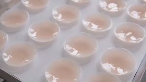 Nipple Silicone Pad ซิลิโคนปิดจุก ที่ปิดจุก ปิดจุกกันโป๊ (Nipple Covers FreeSize)