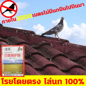 ทำลายอวัยวะภายในตายใน1วัน NK ยาเบื่อนก สั่ง1ได้ 3 ขับไล่นก หนู หมูป่าทั้งหมด ตายกลางแจ้ง ตายแห้งไม่เหม็น กันนกพิราบเกาะ แลนเนท ยาเบื่อนก ไล่นกพิราบ ไล่นกพิราบถาวรยา เครื่องไล่นก ปกป้องพืชผล