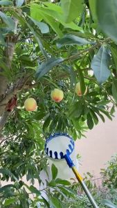 Pemetik Buah nyaman cepat Pemetik Buah Teleskopik ketinggian tinggi gunting buah yang dapat disesuaikan