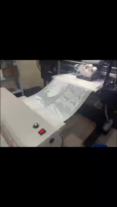 Bandit New Original Art Pattern Graphic Tee Y2K Indie Aesthetic Streetwear