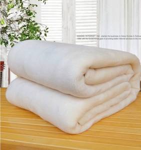 Jiaxun | Spring Summer Thin Blanket Coral Fleece