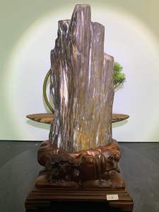 TSK Crystal  SHY010 天然树化玉 黄里透白 色泽圆润 特制雕刻实木底座 Natural Tree Fossil Jade