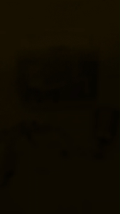 Pistol Semprot Cat IWT R2 Spray Gun Tabung Atas Model Sagola