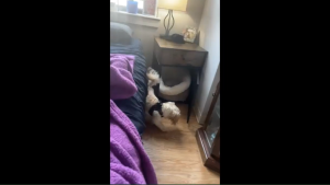 Dog House with Drawer Wooden Dog Crate Furniture Decorative Dog Kennel Pet Crate End Table Chew-Proof Steel-Tube Puppy Cage Indoor for Small Dog