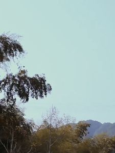 Hộp - Thùng Đựng Đồ Dã Ngoại Gấp Gọn Để Đồ Tiện Dụng Thông Minh Nắp Gỗ Đa Năng Cao Cấp - Thùng Đựng Đồ Ô Tô Du Lịch Cắm Trại Câu Cá DCP6