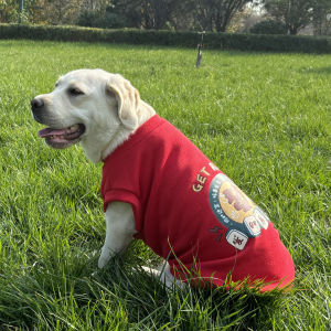 Fleece Lined Dog Vest Autumn Winter Coat for Labrador Golden Retriever Samoyed Border Collie Medium Large Dogs Anti Shedding