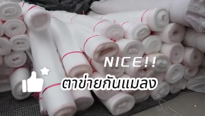 ส่งจากไทย   มุ้งขาวกันแมลง มุ้งขาว มุ้งขาวโรงเรือน 2.5x10เมตร มุ้งกันแมลงผัก ตาข่ายกันแมลง มุ้งโรงเรือน กันแมลง