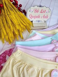 COMBO 5 Quần lót đùi trẻ em [0811] Size :7Kg - 31 Kg Quần đùi trẻ em Cotton mịn mát co giãn thấm hút mồ hôi - Đồ Lót Quỳnh Anh