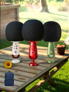 CHANGBA | Wireless Kids-Friendly KTV Singing Microphone Speaker