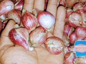 Bawang MERAH BREBES SUPER - 1 Kg - LPJ