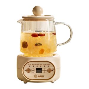 [Phích cắm dẹt] Bình Kính Đa Năng Pha Trà & Giữ Nhiệt