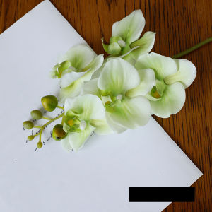 1PCReal Touch Butterfly Orchid Artificial Flower Hand Feel Moisturizing Phalaenopsis Wedding Home Decor Floral Photo Props