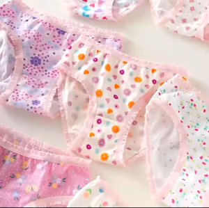 3 Keping Seluar Dalam Remaja Elastic Lace Flower 3pcs Underwear Cartoon Girl Cotton panties Lace Student卡通彩色儿童女童小中学生蕾丝内裤