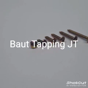 Baut Galvanis JT #6 Sekrup Tapping Screw Kepala Lebar LION