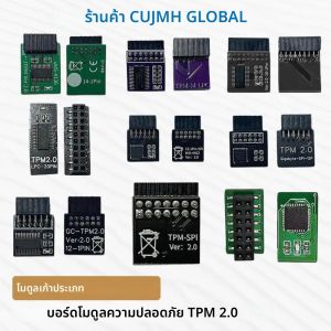 14 Pin LPC MSI อินเทอร์เฟซ TPM2.0 โมดูลความปลอดภัยรองรับเมนบอร์ดยี่ห้อ 12/14/18/20Pins