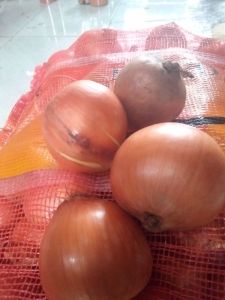 BAWANG BOMBAY BESAR 500gr/1000gr