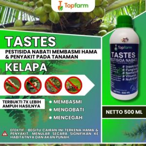 Obat Hama Pohon Kelapa / Obat Pembasmi Semut Pohon Kelapa / Obat Pembasmi Semut Pohon Kelapa / Obat Untuk Hama Pohon Kelapa / Obat Pohon Kelapa